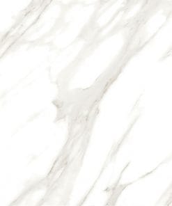 60x60 Prime 03.600600.09676