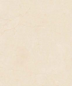 60x60 Prime 03.600600.09790