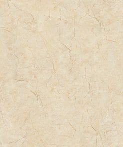 60x60 Prime 03.600600.09873