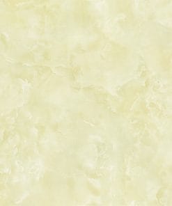 60x60 Prime 03.600600.09874