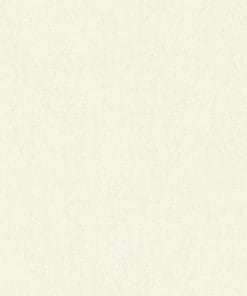 60x60 Prime 03.600600.09954