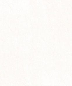 60x60 Prime 03.600600.11630