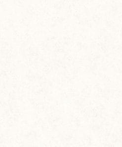 60x60 Prime 03.600600.11632