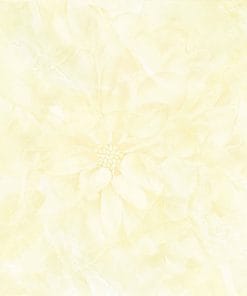 60x60 Prime 03.600600.12025