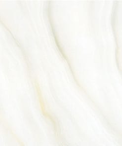 60x60 Prime 03.600600.15606