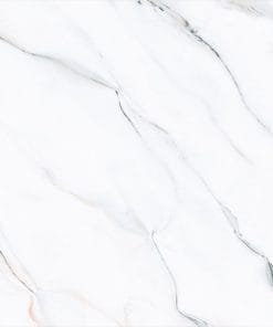 60x60 Prime 03.600600.15621