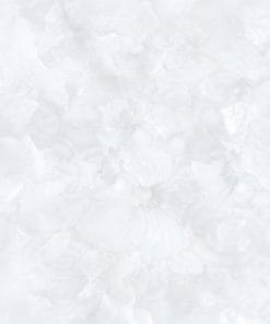 60x60 Prime 03.600600.15623