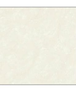 60x60 Bạch Mã HG HMP60910