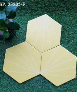 Gạch bông trang trí Trung Quốc 23205F 1