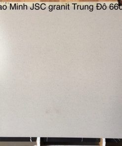 Gạch lát nền Trung Đô 60x60 MM-6603 1