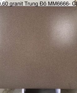Gạch lát nền Trung Đô 60x60 MM-6666 1