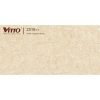 Gạch ốp tường 30x60 Vitto 2516-F1