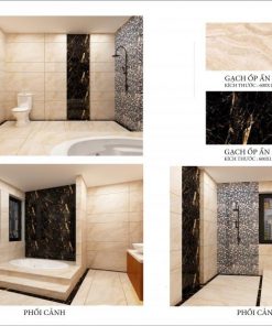 Gạch nhập khẩu Ấn Độ 60x120 Golden Black 1