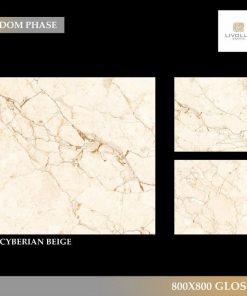 Gạch nhập khẩu Ấn Độ 80x80cm Glossy CYBERIAN BEIGE 1