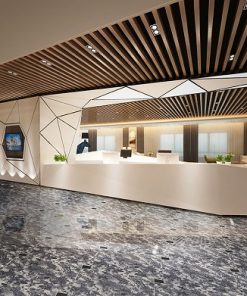 Gạch lát nền 60x60 Đồng Tâm 6060PLATINUM005 3