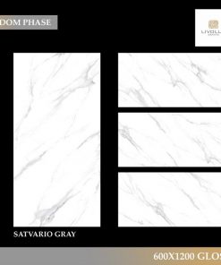 Gạch nhập khẩu Ấn Độ 60x120cm SATVARIO GRAY 2 Gạch nhập khẩu Ấn Độ 60x120cm SATVARIO GRAY 1