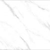 Gạch nhập khẩu Ấn Độ 60x120cm SATVARIO GRAY