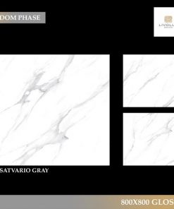 Gạch nhập khẩu Ấn Độ 80x80cm Glossy Satvario Gray 3