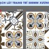 Gạch 30x30 CMC BC3004