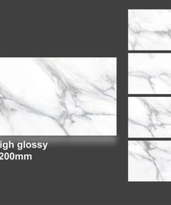 Gạch nhập khẩu Ấn Độ 60x120cm 6510