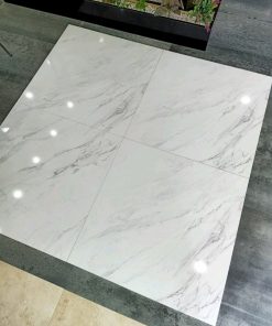 Gạch Tây Ban Nha TC 80x80cm 8821 1