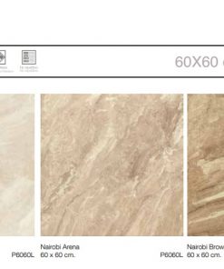 Gạch Tây Ban Nha 60x60 Nairobi Marfil P6060NM 5