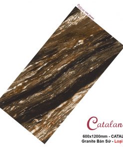 Gạch ốp lát 60x120 Catalan 1205 1