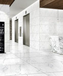 Gạch lát nền 60x120 Taicera GP12905 1