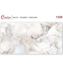 Gạch ốp lát 60x120 Catalan 1209 3