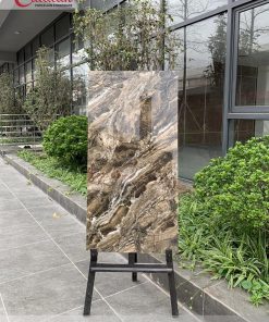 Gạch ốp lát 60x120 Catalan 1211 1