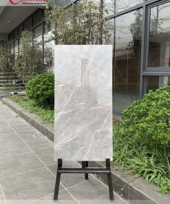 Gạch ốp lát 60x120 Catalan 1213 1