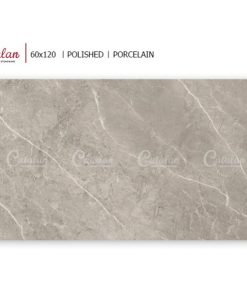 Gạch ốp lát 60x120 Catalan 1213 3