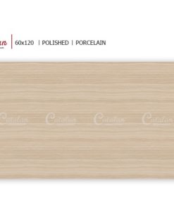 Gạch ốp lát 60x120 Catalan 1214 4 Gạch ốp lát 60x120 Catalan 1214 3