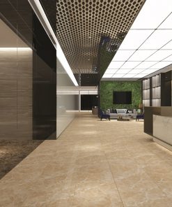 Gạch ốp lát Viglacera 60x120 MD-D61203 1