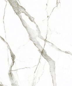 Gạch ốp lát Viglacera 60x120 SIG.P 61206 3
