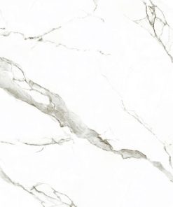 Gạch ốp lát Viglacera 60x120 SIG.P 61206 7