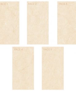Gạch ốp lát Viglacera 60x120 MD-D61202 3