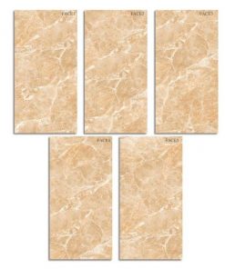 Gạch ốp lát Viglacera 60x120 MD-D61203 3
