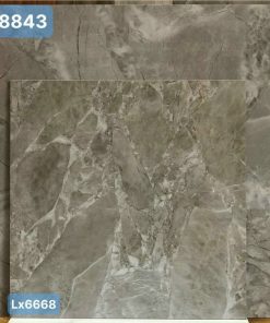 Gạch ốp lát 60x60 màu ghi vân đá CMC LX 6668 1