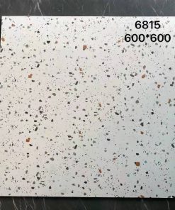 Gạch ốp lát 60x60 giả đá Granito-Terrazzo 6815