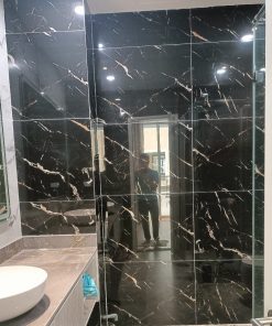 Gạch nhập khẩu Ấn Độ 60x120cm đen chớp trắng I541 3