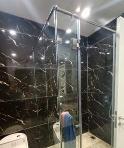 Gạch nhập khẩu Ấn Độ 60x120cm đen chớp trắng I541 1