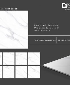 Gạch lát nền Grand Ceramic 60x60 AMM 66001
