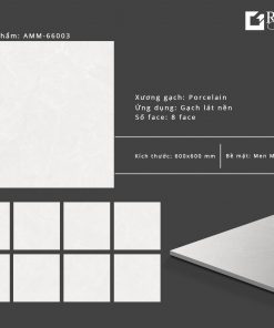 Gạch lát nền Grand Ceramic 60x60 AMM 66003