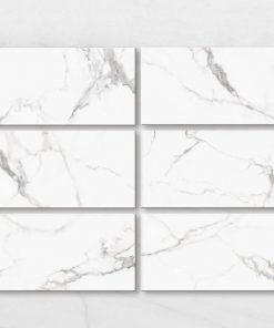 Gạch ốp lát Viglacera 60x120 AMM 61202