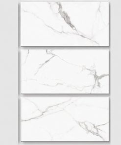 Gạch ốp lát Viglacera 60x120 AMM 61202