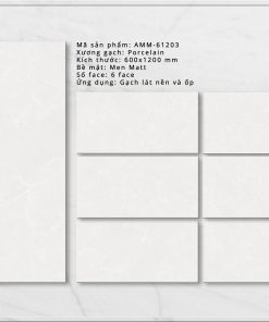 Gạch ốp lát Viglacera 60x120 AMM 61203