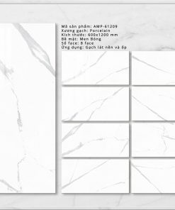 Gạch ốp lát Viglacera 60x120 AMP 61209