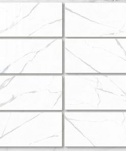 Gạch ốp lát Viglacera 60x120 AMP 61209