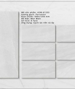 Gạch ốp lát Viglacera 60x120 ASM 61203 1 Gạch ốp lát Viglacera 60x120 ASM 61203